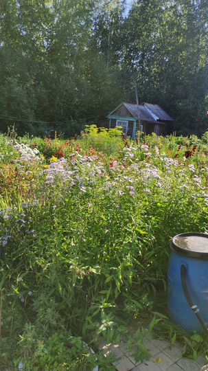 Дача 20 м² на участке 6 сот.