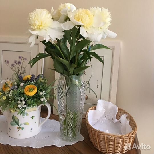 Пионы (деленки) продажа