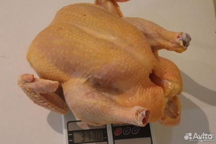 Мясо домашнего бройлера