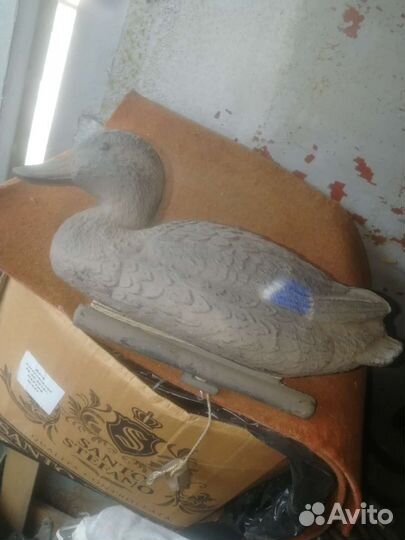 Чучело утки