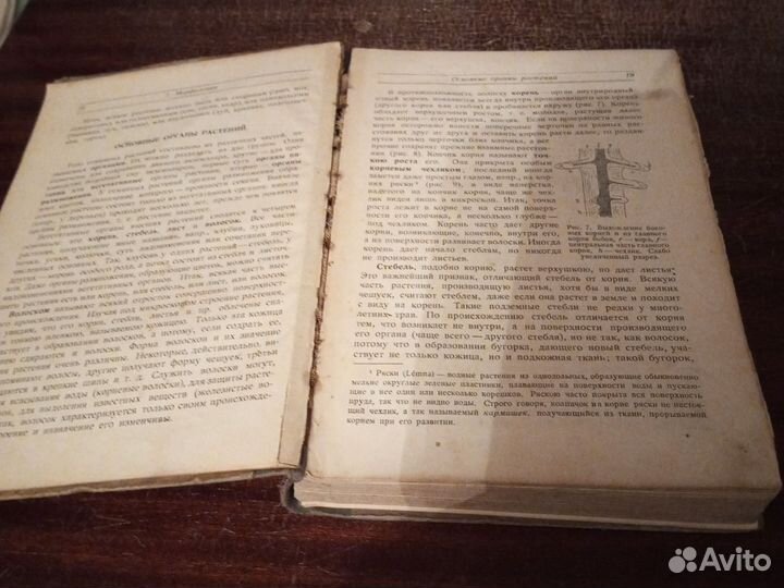 Бородин / Краткий учебник ботаники