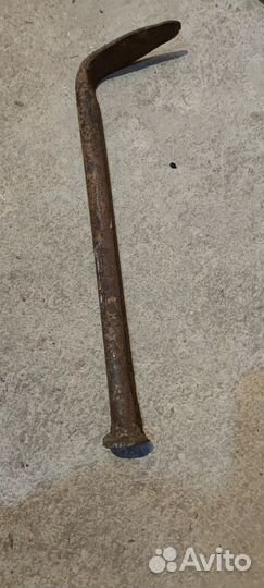 Лапа сапожная