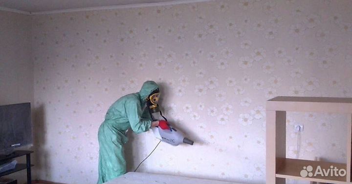 Средство для Дезинфекции Уничтожения тараканов клопов насекомых