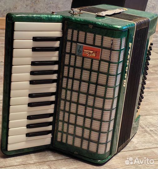 Аккордеон Теза Юность 2 начинающим