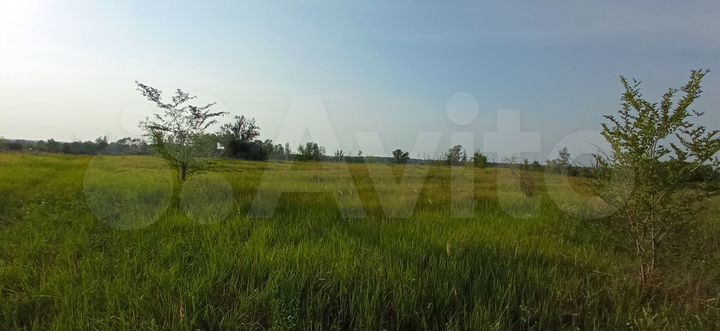 Участок 1,3 га (ИЖС)