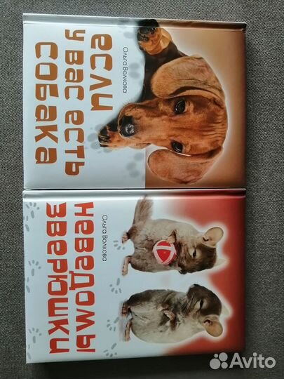 Детская энциклопедия