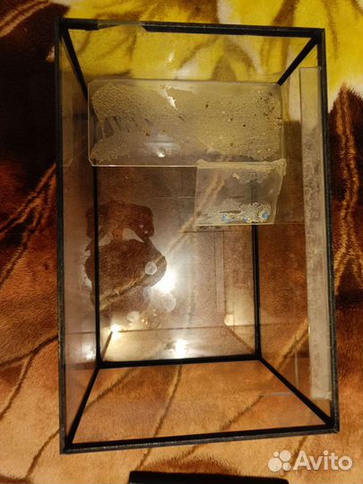 Террариум для черепахи