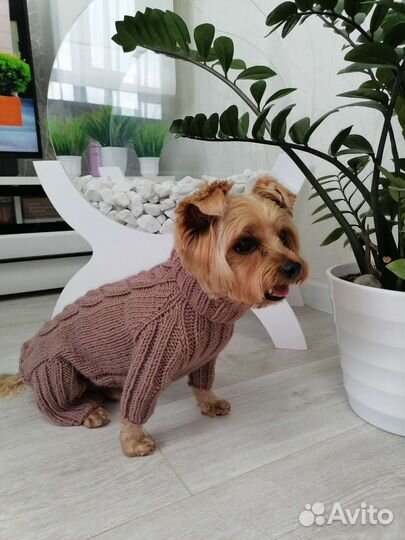 Комбинезон для маленькой собаки