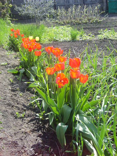 Дом 80 м² на участке 6 сот.