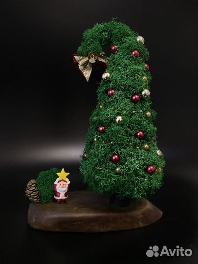 Елка новогодняя из мха