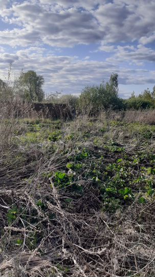 Участок 17 сот. (ИЖС)