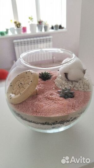 Флорариум. суккуленты