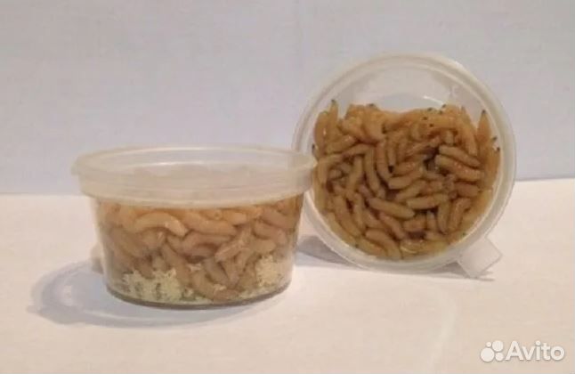 Опарыш - соусник