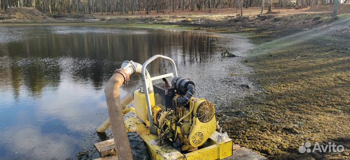 Мощная мотопомпа в аренду для откачки воды Varisco