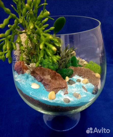 Ко Дню мамы Флорариум суккуленты