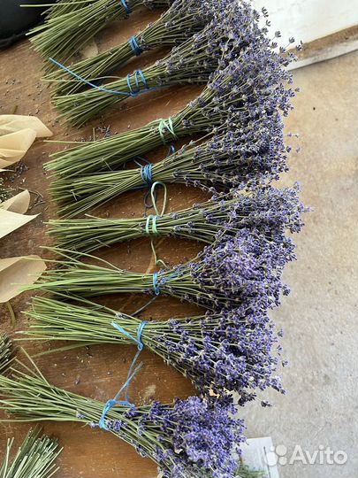 Лавандовые букеты (сухоцветы, лаванда)