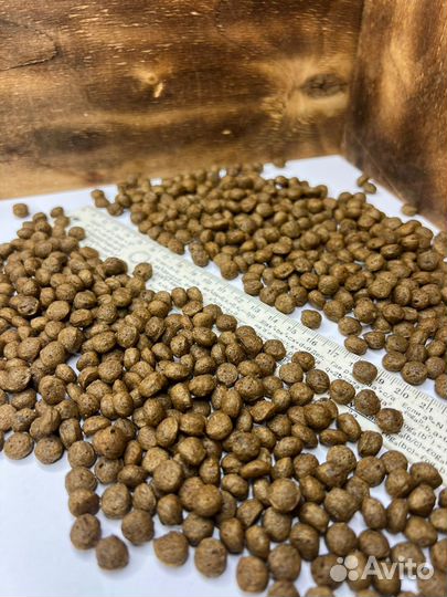 Корм для собак