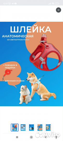 Шлейка для маленькой собаки