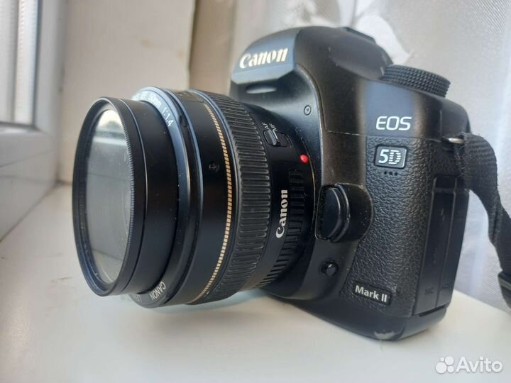 Canon eos 5d mark ii и Canon EF 50mm f/1.4