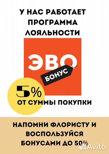 Спатифиллум Лаурета Комнатные растения