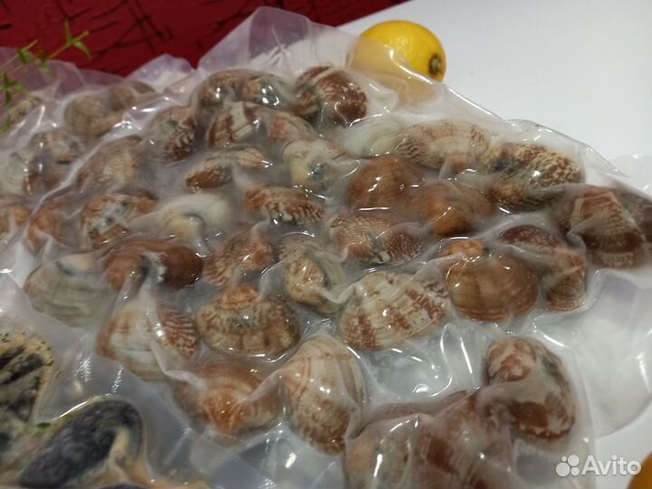 Клеммы Вонголе