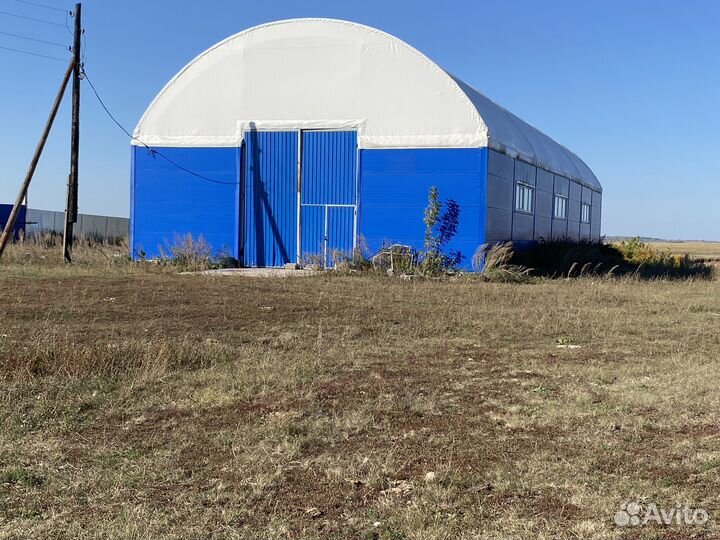 Продается готовый бизнес молочно-товарная ферма