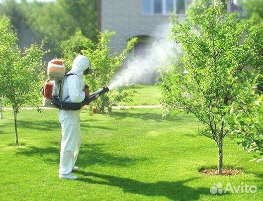 Обработка участка от Клещей, Короеда, Комаров