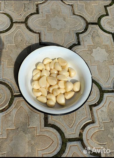 Чеснок домашний на выбор