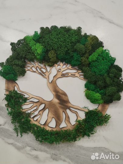 Стабилизированный мох - озеленение