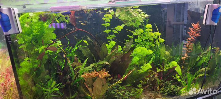 Грунт для аквариума