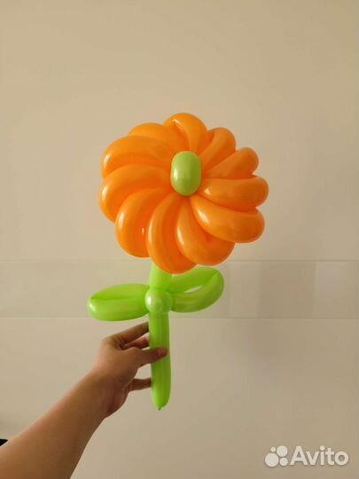 Цветы, букеты, животные и другое из шаров