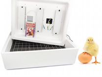 Инкубатор для яиц автоматический бу
