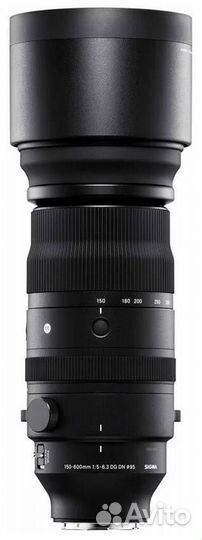 Sigma AF 150-600 MM F 5.6.3 L mount