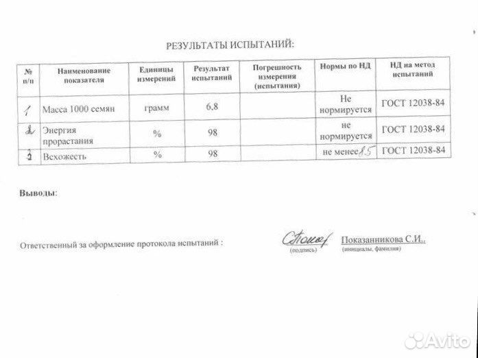 Семена белой горчицы