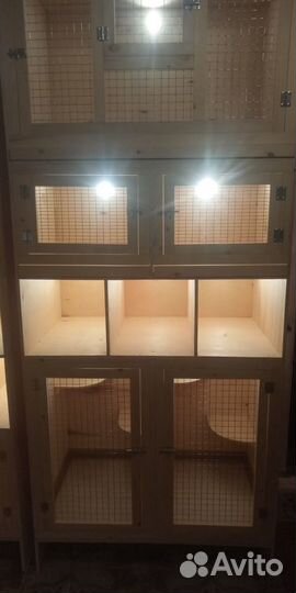 Клетки - витрины