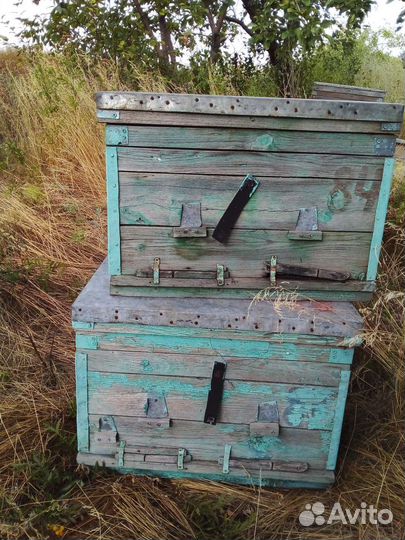 Ульи для пчел бу