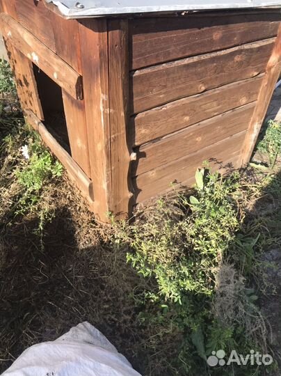 Будка для собаки