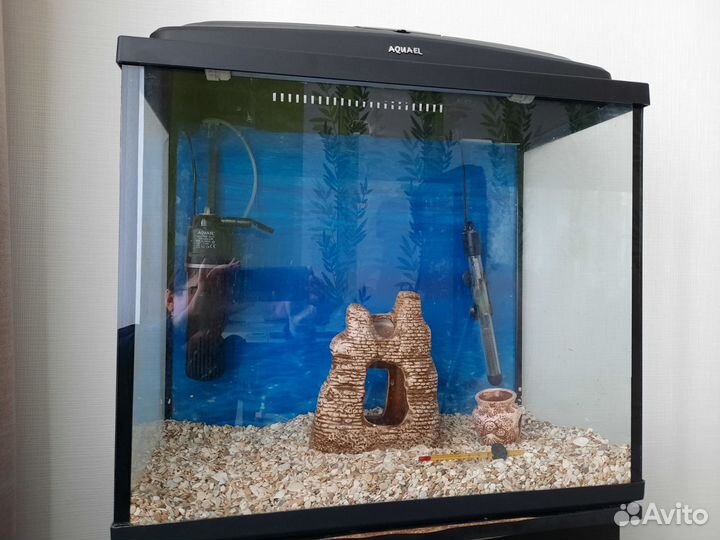 Аквариум