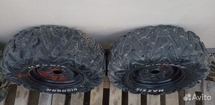 Maxxis bighorn 2.0