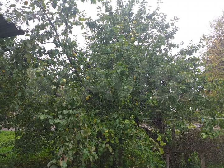 2-к. квартира, 33,4 м², 1/1 эт.