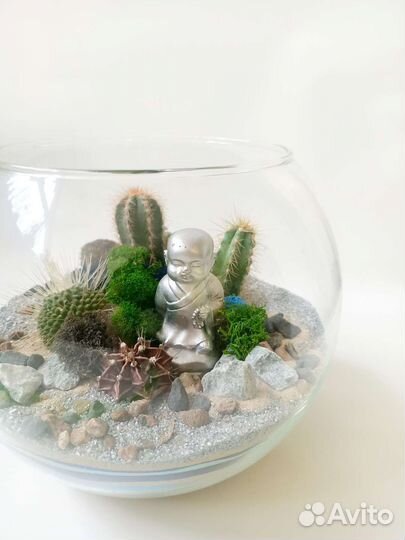 Флорариум стеклянный шар с кактусами