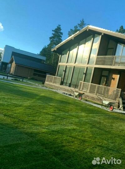 Рулонный газон