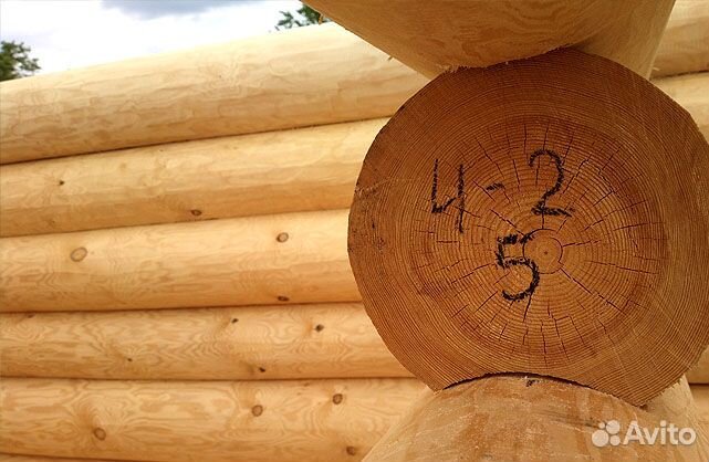 Оцилиндрованное бревно (сухое)