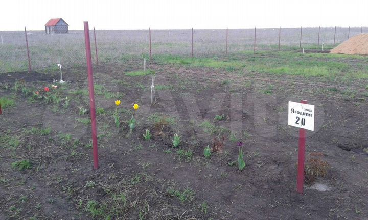 Участок 10 сот. (ИЖС)