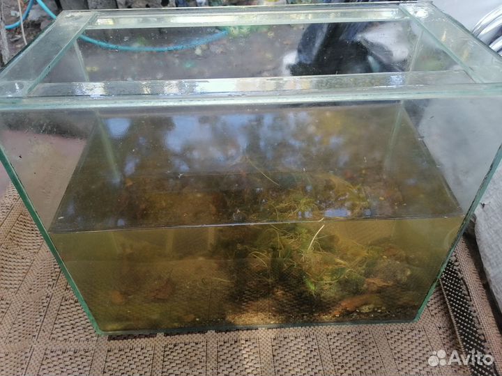 Аквариум
