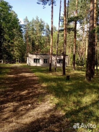 Детский оздоровительный лагерь