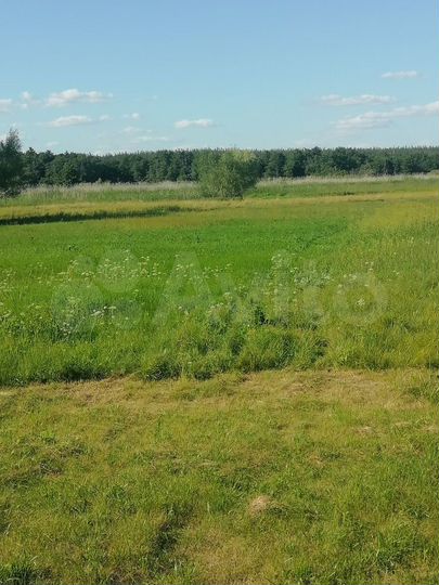 Дом 40 м² на участке 15 сот.