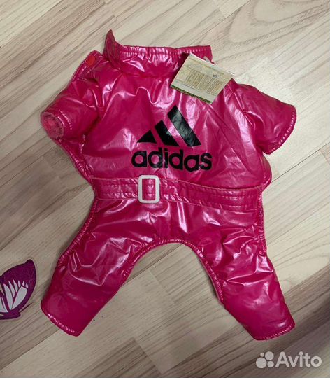 Одежда для собак