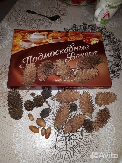 Шишки для поделок