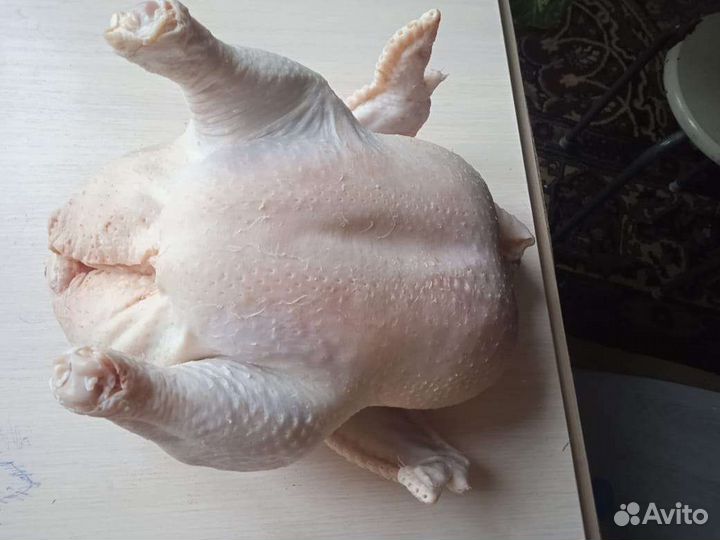 Куры